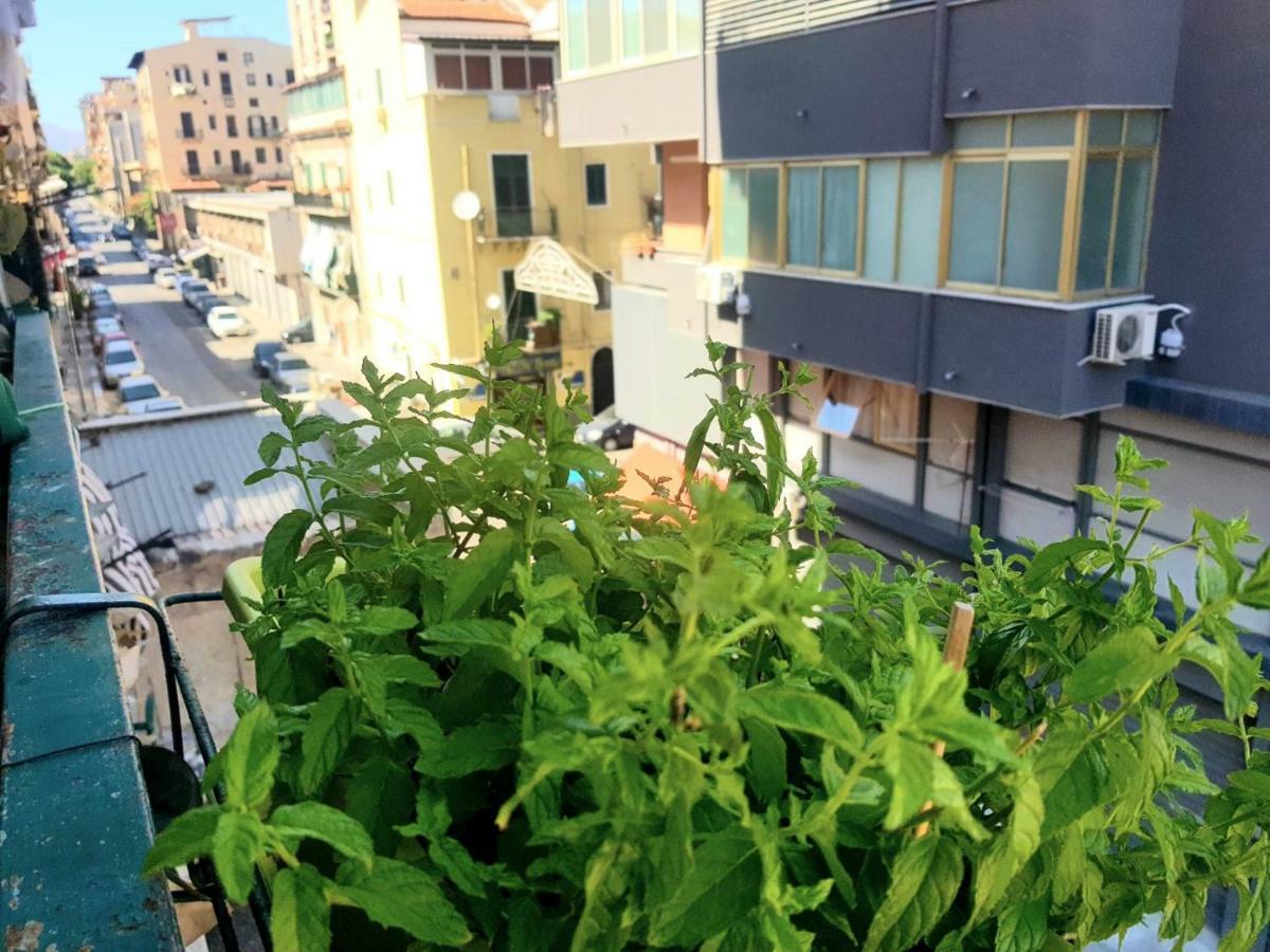 Appartement Dolce Casa Centro Storico Di Palermo New 2023 Extérieur photo
